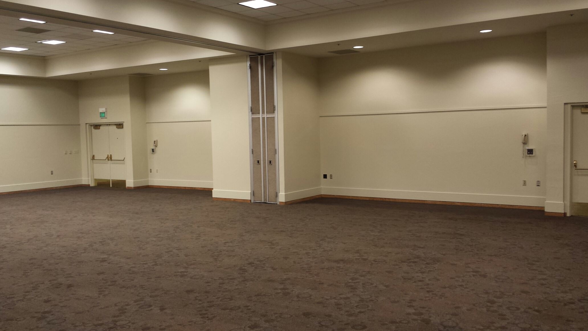 Pistache Ginkgo Rear